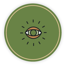 The MAJ Solutions Mission, Vision and Goals