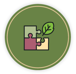 MAJ Solutions, Organizational Culture